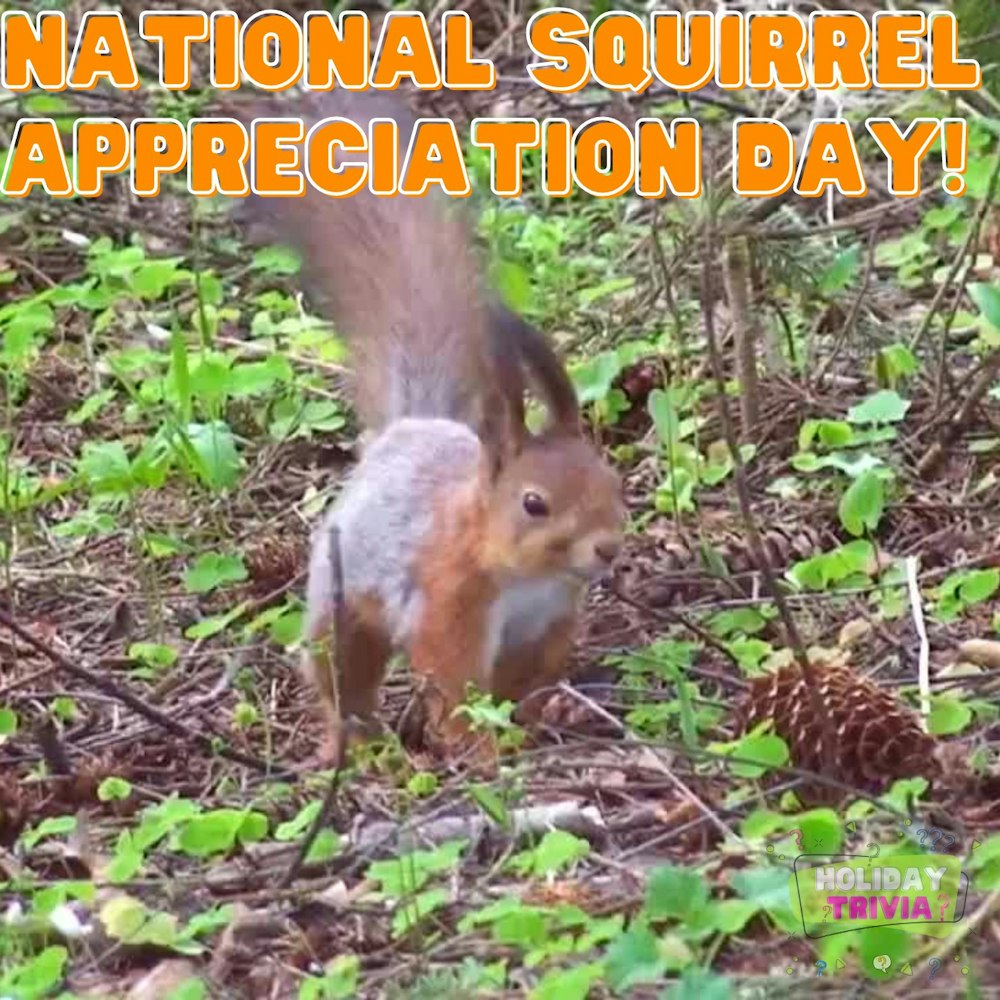 Episode #069 National Squirrel Appreciation Day!!!