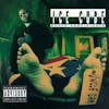 Ice Cube: Death Certificate (1991). 
