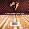 Maxwell-Maxwell's Urban Hang Suite (1996). The Chill Spot That Became Love's Home