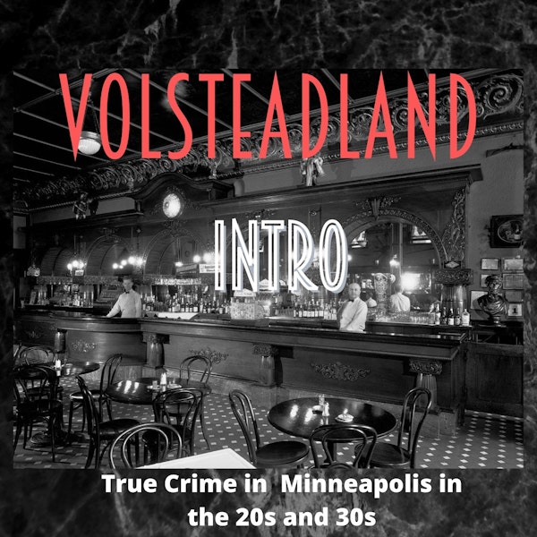 Volsteadland: Introduction