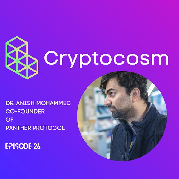 Special Edition - Deep Dive Into Panther Protocol - ZKP With Dr. Anish Mohammed - Private Scalable Solution For Instituitions In DeFi & Web3