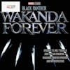 Mr. T'challa and the Big Concern-A Wakanda Forever Preview and Introspective