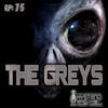 Grey Aliens: Alien Abductors or Nonsense | 75