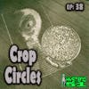 Crop Circles | 38