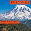Diving into the World of Bigfoot Encounters and Audio Analysis in Mt. Rainier with Chanel