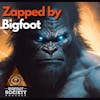 Zapped by Bigfoot? A New Englander's Encounter with Mysterious Phenomena in Marlborough, New Hampshire