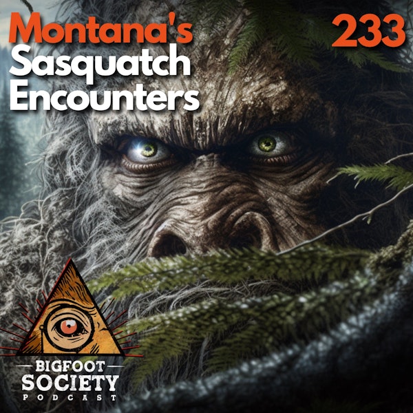 A Hunter's Close Encounters with Sasquatch in Montana's Tobacco Root Mountains