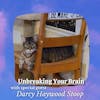 Unbreaking Your Brain (with Special Guest Darcy Haywood Stoop)