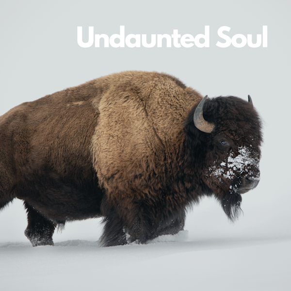Undaunted Soul | Chelsea Olson | Episode 31