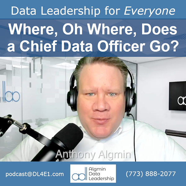 Where, Oh Where, Does a Chief Data Officer Go?