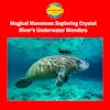 [ARCHIVE EPISODE] Magical Manatees: Exploring Crystal River's Underwater Wonders