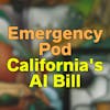 Emergency Pod: Examining SB 1047, California's Proposed AI Legislation