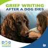 Grief Writing After a Dog Dies | Sheila Cooperman #240