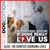 Researchers Explore If Dogs Really Love Us | The Bowties Changing Lives | Dog Edition #38