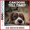 Can Dogs Tell Time? | Dogs In The Movies | Dog Edition #34