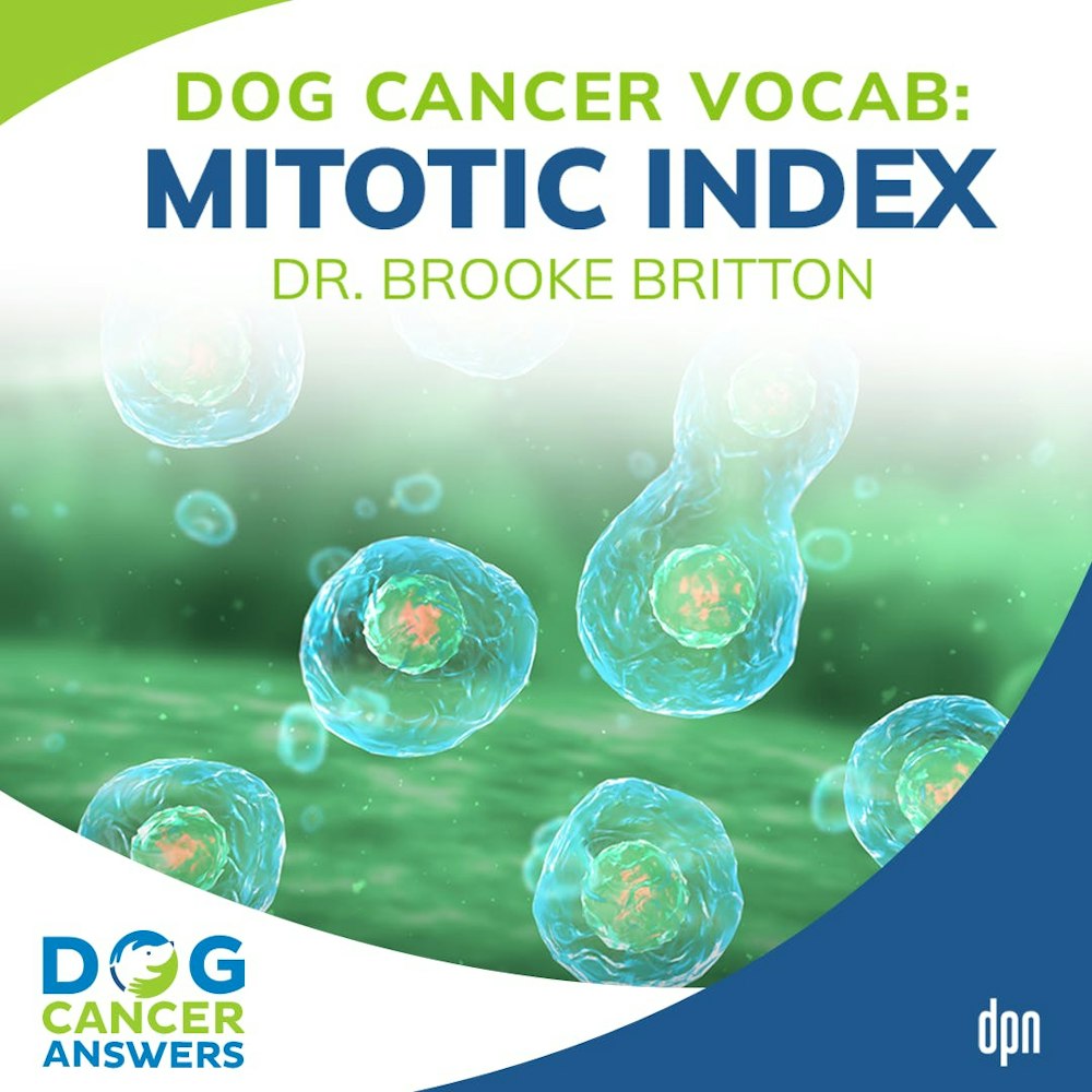 Dog Cancer Vocab: Mitotic Index | Dr. Brooke Britton #166