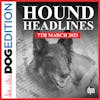 Hound Headlines 3/7/23 | Dog Edition #86
