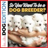 So, You Want to Be a Dog Breeder? | Dog Edition #81