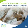 Dog Cancer Cost: Economics of Dog Cancer | Dr. Megan Duffy #157