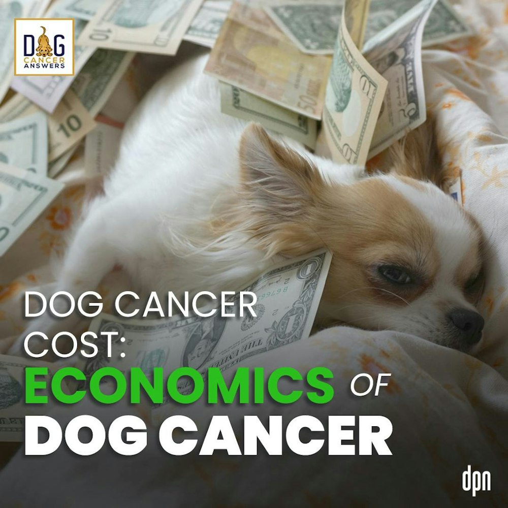 Dog Cancer Cost: Economics of Dog Cancer | Dr. Megan Duffy Deep Dive