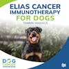 ELIAS Cancer Immunotherapy for Dogs | Tammie Wahaus #169