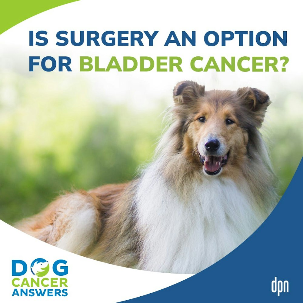 Is Surgery an Option for Bladder Cancer? | Dr. Brooke Britton #187