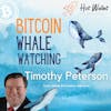 Bitcoin Whale Watching | Timothy Peterson | Hot Wallet