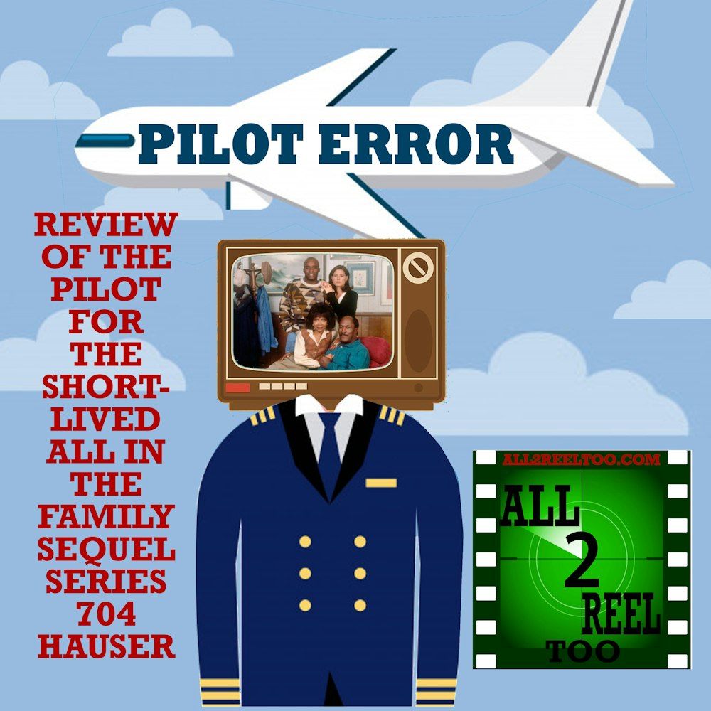 704 Hauser (1994) - PILOT ERROR REVIEW