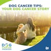 Your Dog Cancer Story | Molly Jacobson #245