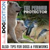 The Penguin Protectors | Tips for Dogs & Fireworks | Dog Edition #24
