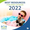 Best Resources for Dog Cancer 2022 | Molly Jacobson and Kate Basedow #147