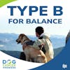 How Type B for Balance Treats Dog Cancer | Molly Jacobson #133