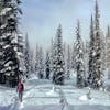 #103: Twelve Great National Parks for Snowshoeing