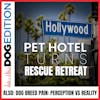 Hollywood Pet Hotel Turns Rescue Retreat | Dog Breed Pain: Perception vs Reality | Dog Edition #21