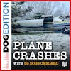 Plane Crashes with 53 Dogs Onboard | Dog Edition #89