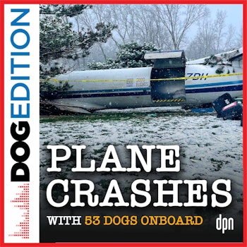 Plane Crashes with 53 Dogs Onboard | Dog Edition #89