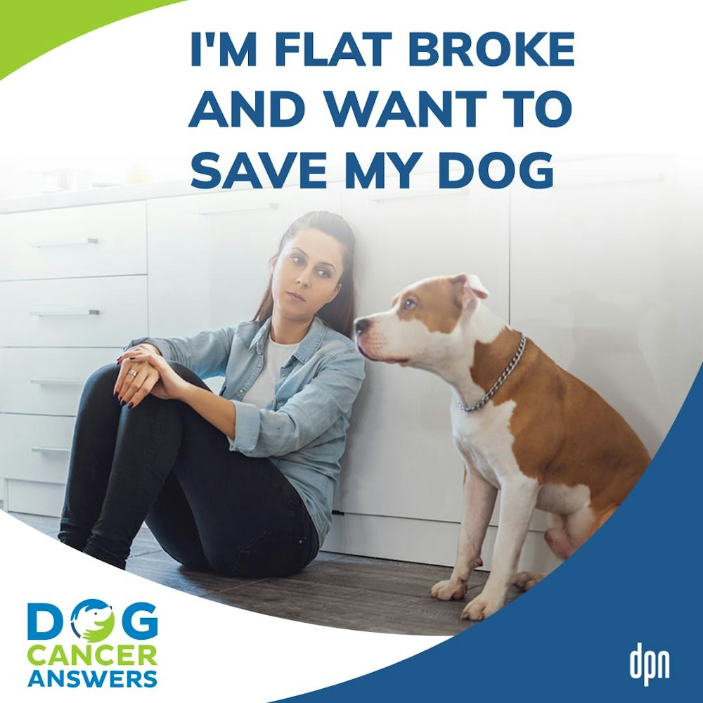 I’m Flat Broke ... And I Want to Save My Dog! │ Molly Jacobson #122