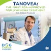 Tanovea: The First FDA-Approved Dog Lymphoma Treatment | Dr. Douglas Thamm #162