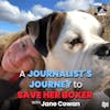 A Journalist’s Journey to Save her Boxer with Jane Cowan | The Long Leash #60