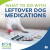 What To Do With Leftover Dog Medications | Dr. Nancy Reese #152
