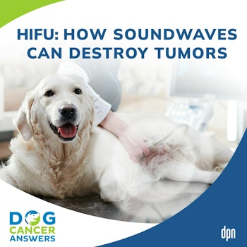 HIFU: How Sound Waves Can Destroy Tumors | Dr. Joanne Tuohy #202