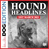 Hound Headlines 3/21/23 | Dog Edition #88