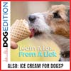 Learn A Lot From A Lick | Ice Cream for Dogs? | Dog Edition #29