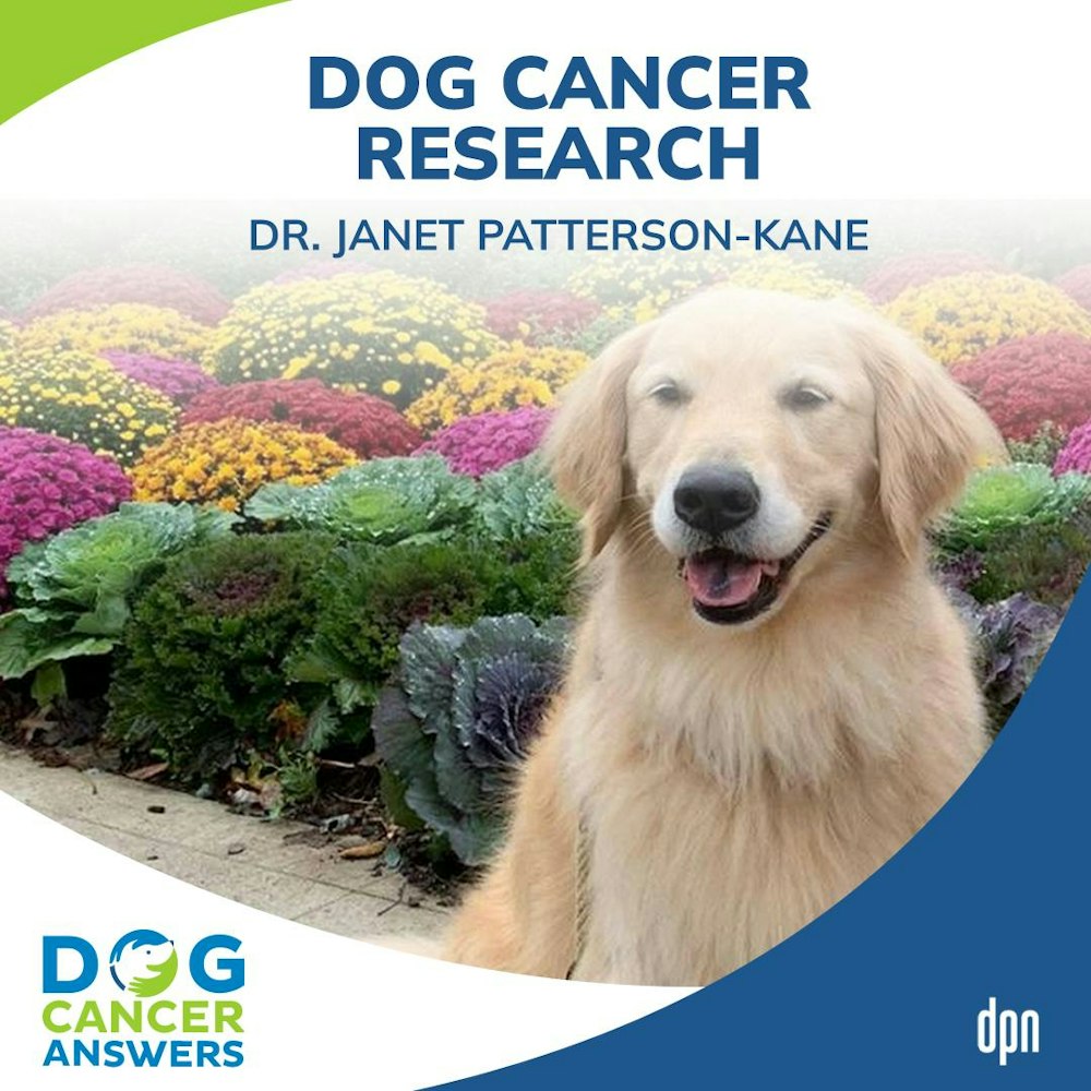 Morris Animal Foundation's Dog Cancer Research | Dr. Janet Patterson-Kane #123