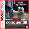 Failed Dog Adoptions: When Love Doesn’t Conquer All | Dog Edition #58