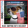 Can Pooches Get Politicians Elected? | Sniffing Out A Delicacy | Dog Edition #30