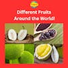 Different Fruits Around the World!