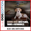 Saving Dogs With Planes, Trains & Automobiles | Girls With Dogs | Dog Edition #33