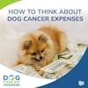 How to Think About Dog Cancer Expenses | Dr. Lauren Barrow #200