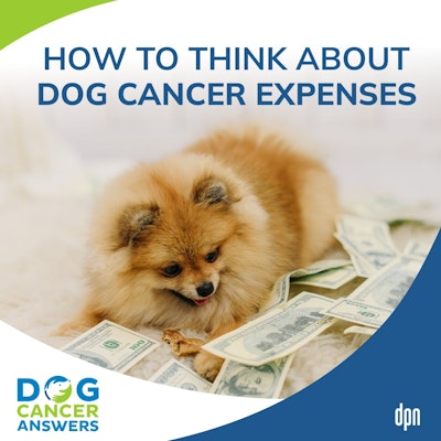 Episode image for How to Think About Dog Cancer Expenses | Dr. Lauren Barrow #200